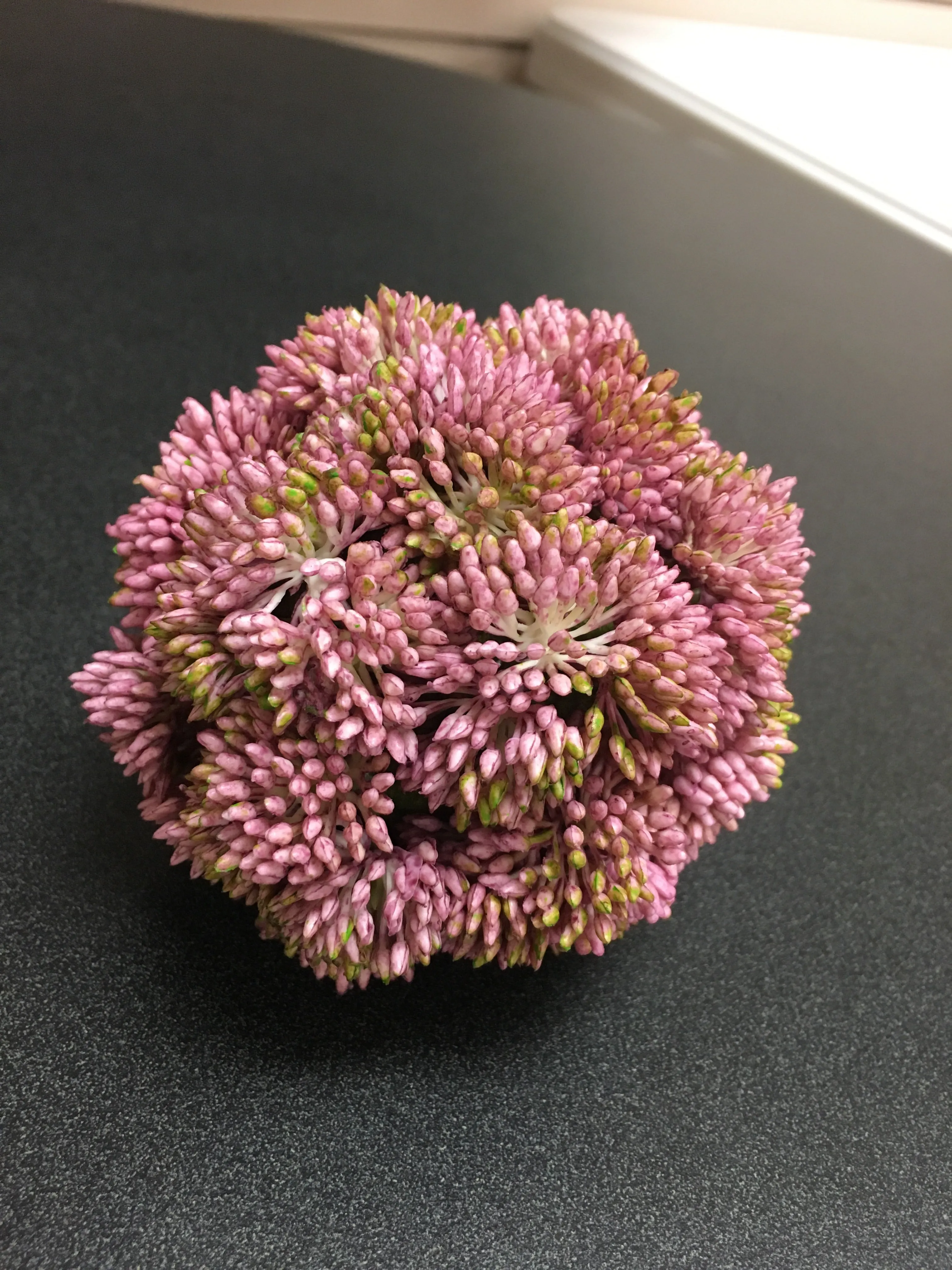 Pink Sedum Ball - 4inch