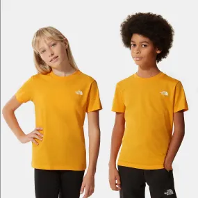 The North Face boys' SS Simple Dome short sleeve t-shirt NF0A2WAN56P1 gold